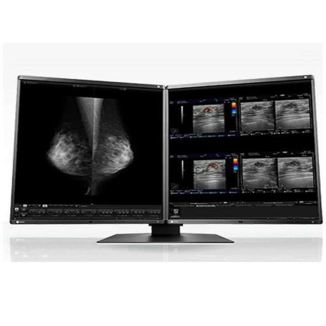 Eizo RadiForce RX560-MD