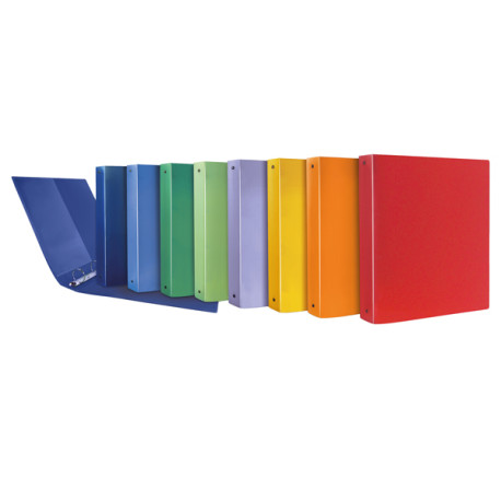 Raccoglitore Terra - 22 x 30 cm - 4 anelli a R 17 mm - dorso 2,5 cm - PP riciclato - colori assortiti - Sei Rota