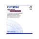 Epson - Carta speciale (720/1440 dpi), finitura opaca - C13S041068