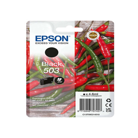 Epson - Cartuccia - Nero - 503- C13T09Q14010 - 4,6 ml