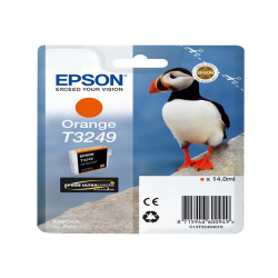 Epson - Cartuccia ink - Arancio - T3249 - C13T32494010 - 14ml