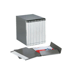 Gruppo Delso Line - 25 x 32 cm - 12 cartelle 2 lembi - con custodia - dorso 1,5 cm - Esselte