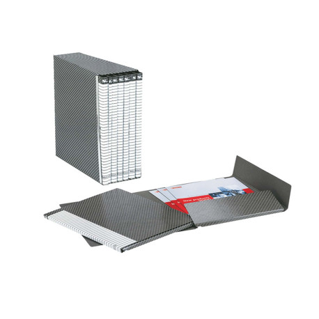 Gruppo Delso Line - 25 x 32 cm - 6 cartelle 2 lembi - con custodia - dorso 1,5 cm - grigio - Esselte