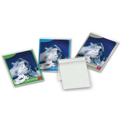 Blocco Cervino - A4 - 210 x 297mm -  50gr - 50 fogli - 5mm - Pigna