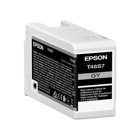 Epson - Cartuccia UltraChrome Pro 10 - Grigio - C13T46S700 - 25 ml