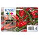 Epson - Multipack Cartucce - 503 - BK/C/M/Y - C13T09Q64010