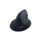 Equip 245120, Mano destra, Design verticale, Ottico, RF senza fili + Bluetooth, 1600 DPI, Nero