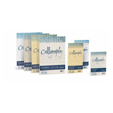 CF25BUSTE PERGAMENA 11X22 CREMA