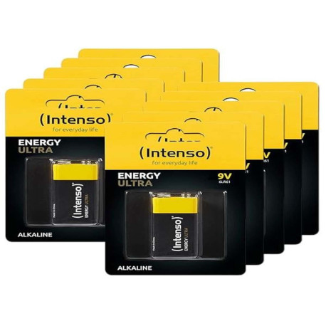 Intenso Pile alcaline