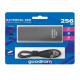 Goodram SSD - HL100