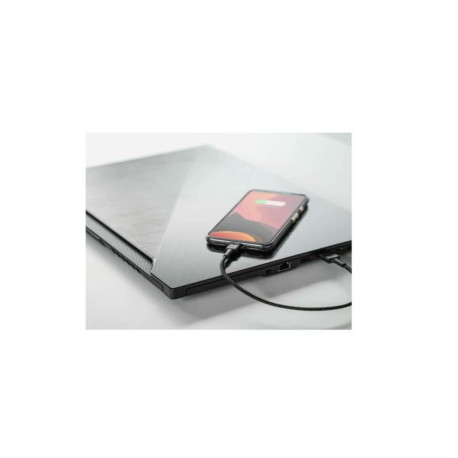 Green Cell Cavo USB Lighting 30 cm