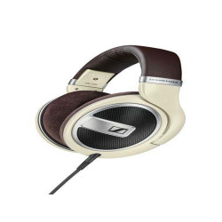 HD 599