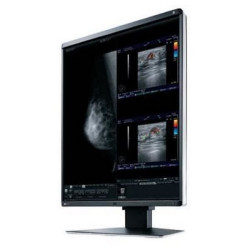 Eizo RadiForce RX560