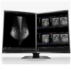 Eizo RadiForce RX560-MD
