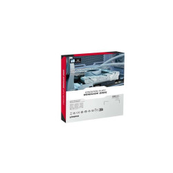 Kingston Renegade