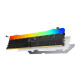 Kingston Renegade RGB