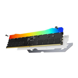 Kingston Renegade RGB