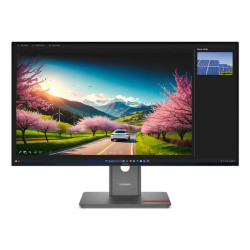 Lenovo ThinkVision P32UD-40 Monitor, 80 cm (31.5"), 3840 x 2160 Pixel, 4K Ultra HD, LCD, 6 ms, Nero
