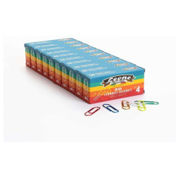 Leone Dell'Era FERMAGLI COLORATI METALLIZZATI N4