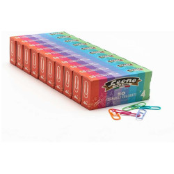 Leone Dell'Era FERMAGLI COLORATI PLASTIFICATI N4