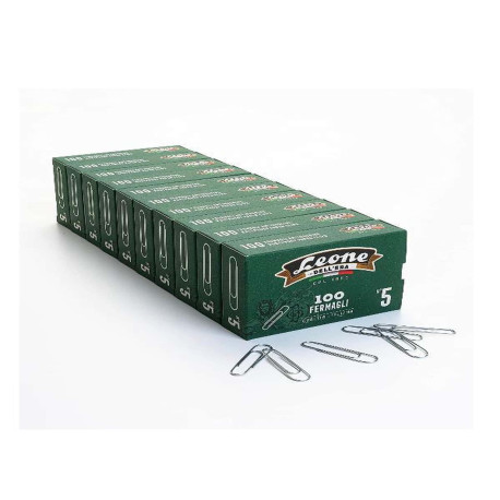 Leone Dell'Era Fermagli zincati N5 Confezione da 10 scatole x100 fermagli ciascuna