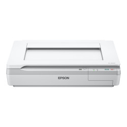 Epson WorkForce DS-50000 - Scanner piano - A3 - 600 dpi x 600 dpi - fino a 4 ppm (mono) / fino a 4 ppm (colore) - USB 2.0