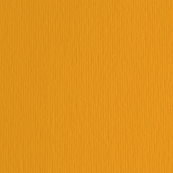 Cartoncino Elle Erre - 50 x 70 cm - 220 gr - aragosta 26 - Fabriano - blister 20 fogli
