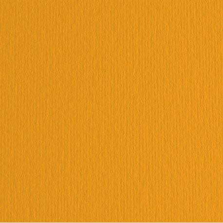 Cartoncino Elle Erre - 50 x 70 cm - 220 gr - aragosta 26 - Fabriano - blister 20 fogli