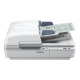 Epson WorkForce DS-6500 - Scanner documenti - Duplex - A4/Legal - 1200 dpi x 1200 dpi - fino a 25 ppm (mono) / fino a 25 ppm (c