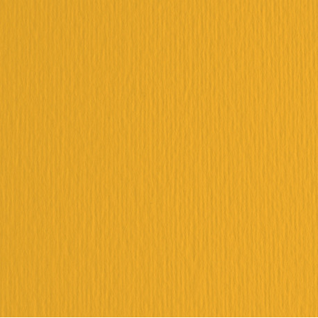 Cartoncino Elle Erre - 50 x 70 cm - 220 gr - avana 103 - Fabriano - blister 20 fogli