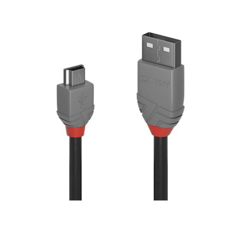 Lindy CAVO USB 2.0 TIPO Amini B NERO, 2M