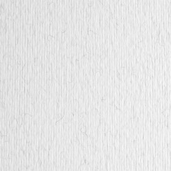 Cartoncino Elle Erre - 50 x 70 cm - 220 gr - brina 29 - Fabriano - blister 20 fogli