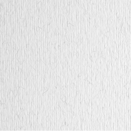 Cartoncino Elle Erre - 50 x 70 cm - 220 gr - brina 29 - Fabriano - blister 20 fogli