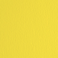 Cartoncino Elle Erre - 50 x 70 cm - 220 gr - cedro 25 - Fabriano - blister 20 fogli