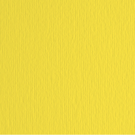 Cartoncino Elle Erre - 50 x 70 cm - 220 gr - cedro 25 - Fabriano - blister 20 fogli