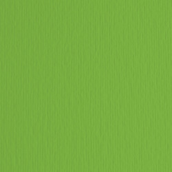 Cartoncino Elle Erre - 50 x 70 cm - 220 gr - verde 111 - Fabriano - blister 20 fogli