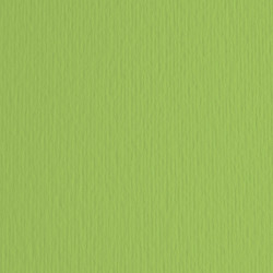 Cartoncino Elle Erre - 50 x 70 cm - 220 gr - verde pisello 110 - Fabriano - blister 20 fogli