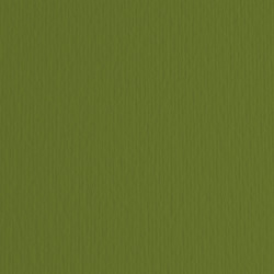 Cartoncino Elle Erre - 50 x 70 cm - 220 gr - verdone 28 - Fabriano - blister 20 fogli