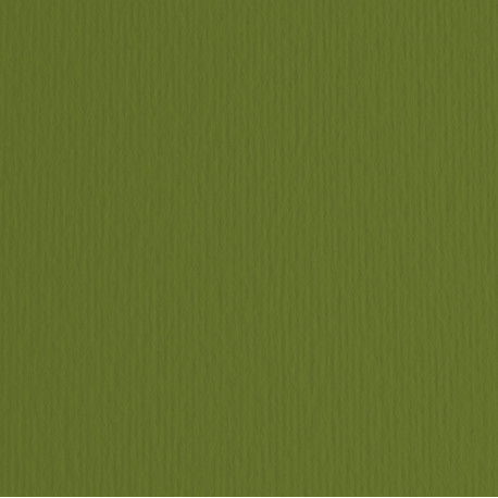 Cartoncino Elle Erre - 50 x 70 cm - 220 gr - verdone 28 - Fabriano - blister 20 fogli