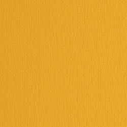 Cartoncino Elle Erre - 70 x 100 cm - 220 gr - avana 103 - Fabriano - blister 10 fogli