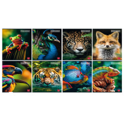 Maxiquaderno Animal - A4 - 1 rigo c/margine - 42 fogli - 80 gr - Pigna