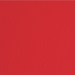 Cartoncino Elle Erre - 70 x 100 cm - 220 gr - ciliegia 127 - Fabriano - blister 10 fogli