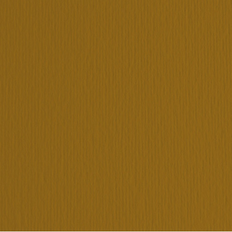 Cartoncino Elle Erre - 70 x 100 cm - 220 gr - marrone 106 - Fabriano - blister 10 fogli