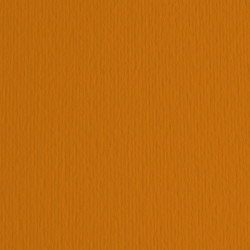 Cartoncino Elle Erre - 70 x 100 cm - 220 gr - terra bruciata 119 - Fabriano - blister 10 fogli