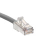 Leviton Cavo di perm. Cat.6A 17S 5,1M
