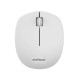 MOUSE WIRELESS SILVER