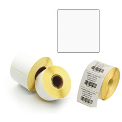 Etichette per trasferimento termico diretto - 1 pista - 100 x 100 mm - Printex - rotolo da 500 pezzi