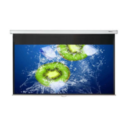 Optoma DS-1095PMG+