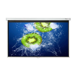 Optoma DS-3120PMG+