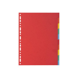 Exacompta - Divisorio - 10 parti - per A4 - con schede - colori assortiti